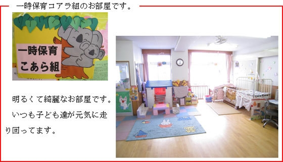 写真：一時保育コアラ組のお部屋。明るくて綺麗なお部屋です。いつも子ども達が元気に走り回ってます。