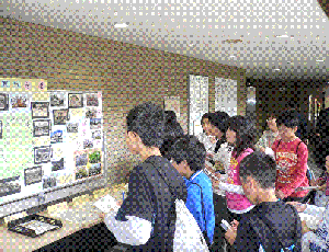写真：温故知新展展示の様子