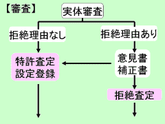 図版：画像13 審査