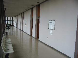 写真：法廷前廊下の写真