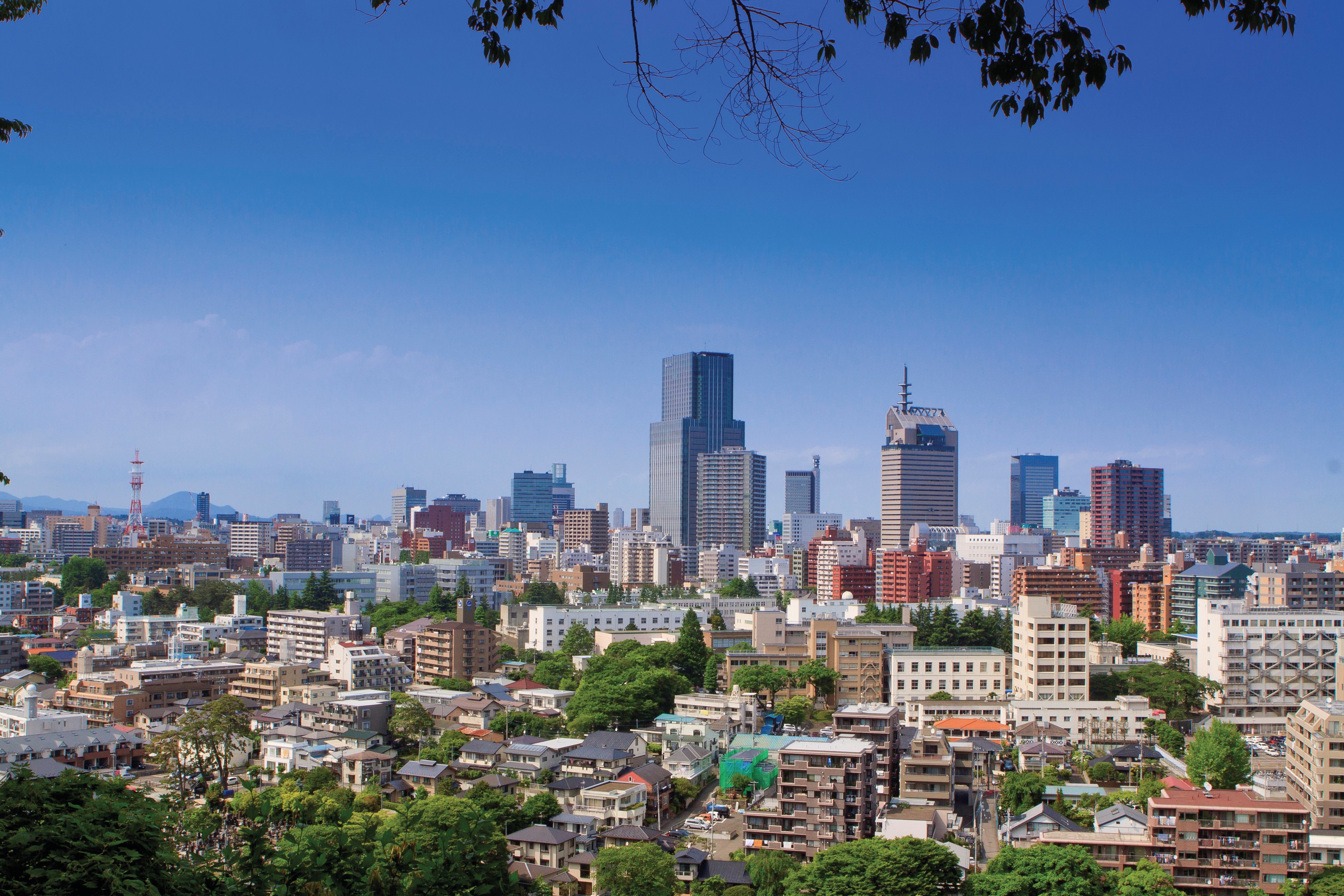 写真：仙台市街全景