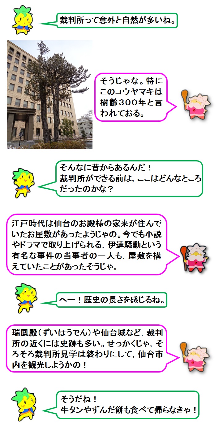 説明文：裁判所って意外と植物が多いね。そうじゃな。特にこのコウヤマキは樹齢300年と言われておる。そんなに昔からあるんだ！裁判所ができる前は，ここはどんなところだったのかな？江戸時代は仙台のお殿様の家来が住んでいたお屋敷があったようじゃの。今でも小説やドラマで取り上げられる，伊達騒動という有名な事件の当事者の一人も，屋敷を構えていたことがあったそうじゃ。へー！歴史の長さを感じるね。瑞鳳殿や青葉城など，裁判所の近くには史跡も多い。せっかくじゃ，そろそろ裁判所見学は終わりにして，仙台市内を観光しようかの！そうだね！牛タンやずんだ餅も食べて帰らなきゃ！