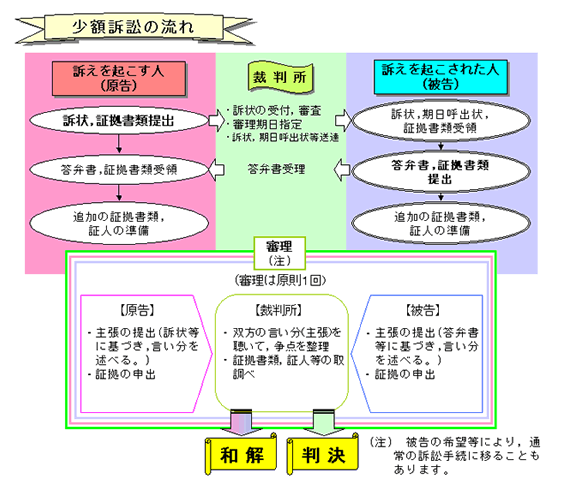 図版：少額控訴の流れのイメージ